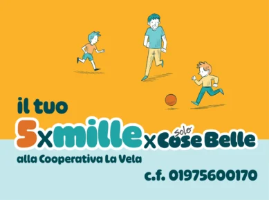 5x1000-2026 boxhome 5x1000-2026 boxhome